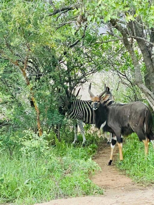 Апартаменты Wildheart Safari - Main Худспрут Экстерьер фото